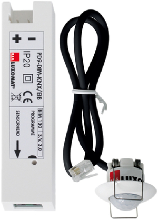 fargesia rufa schneiden Bambus rufa (Fargesia rufa) | 60-80 cm im Topf